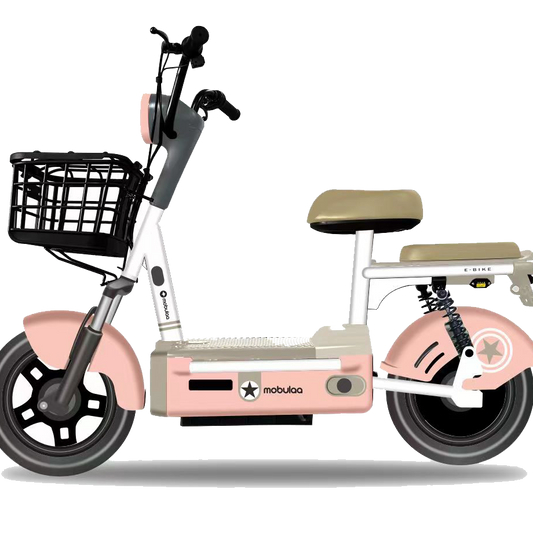 EB-1B BICIMOTO ELECTRICA MOBULAA